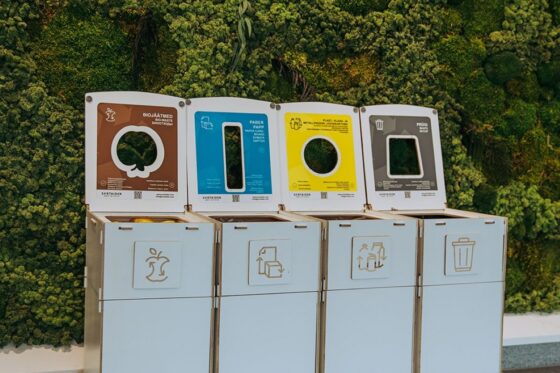 Sustainable waste sorting station with color-coded compartments for paper, packaging, bio, and mixed waste, placed against a green moss wall.